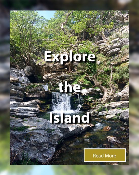 Explore the Island